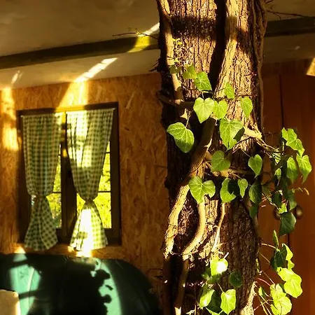 Japodski Otoci Racic