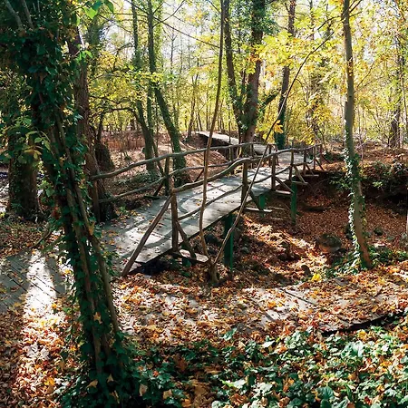 Japodski Otoci بيت خشبي Racic