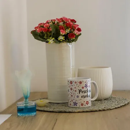 Japodski Otoci بيت خشبي